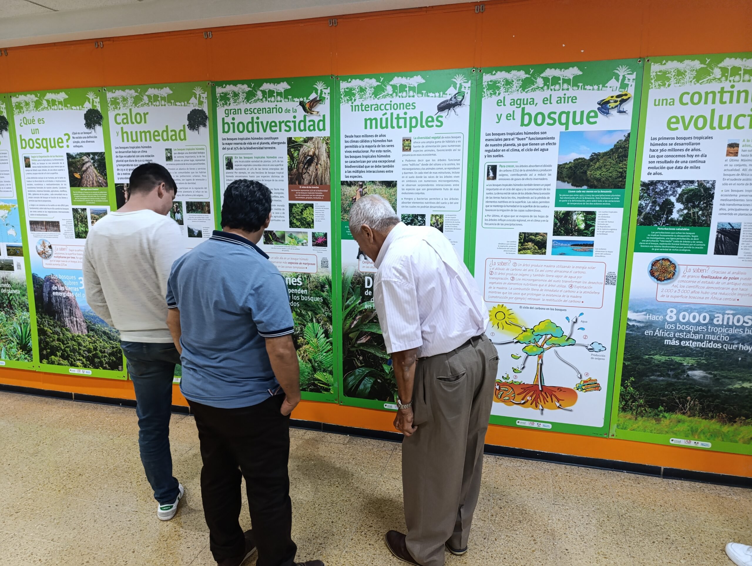 Sumérgete en la biodiversidad: Una exposición que conecta con el futuro del planeta